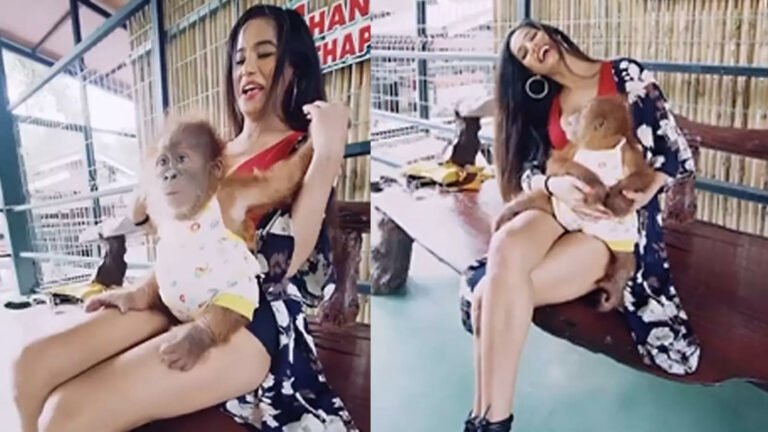 Poonam Pandey Playful Encounter with a Monkey Goes Viral on Social Media