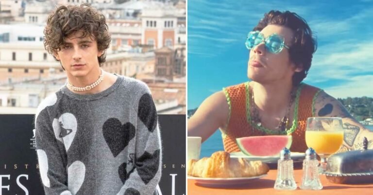 Timothee chalamet clarifies harry styles watermelon sugar meaning impersonating singer on snl misinterpretations include oral sx.